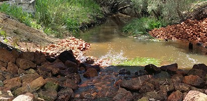 living landscapes vivacious surrounds services
