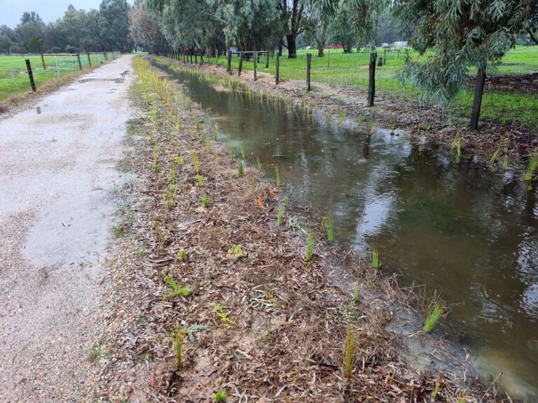 Oakford Living Stream Vivacious Surrounds Perth
