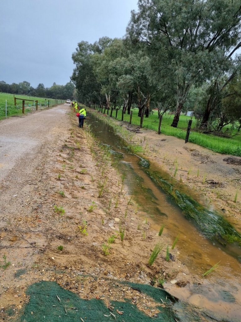 Living Stream Planting Oakford