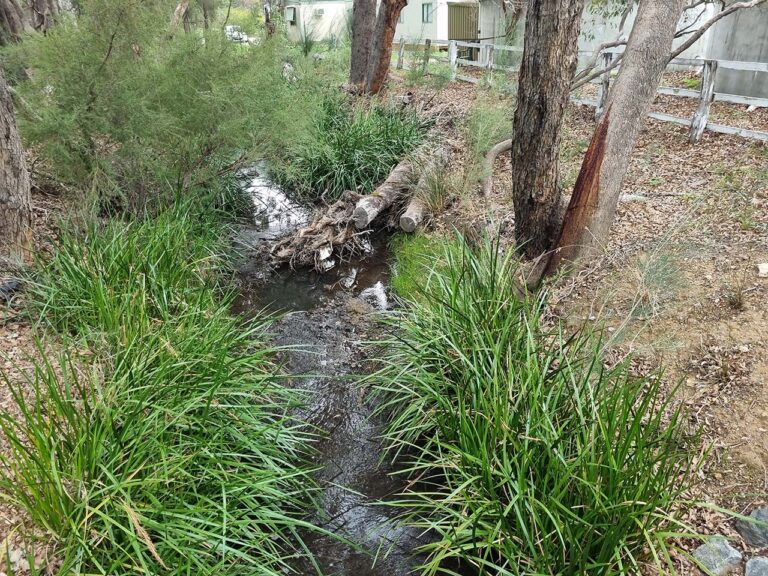 Creek Restoration